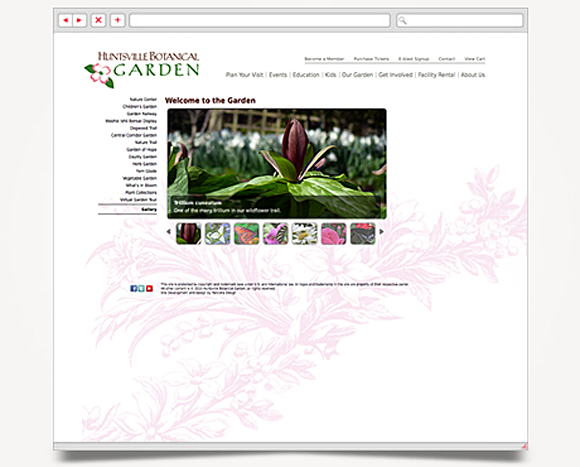Web - Web Design - Huntsville Botanical Garden - Website 4