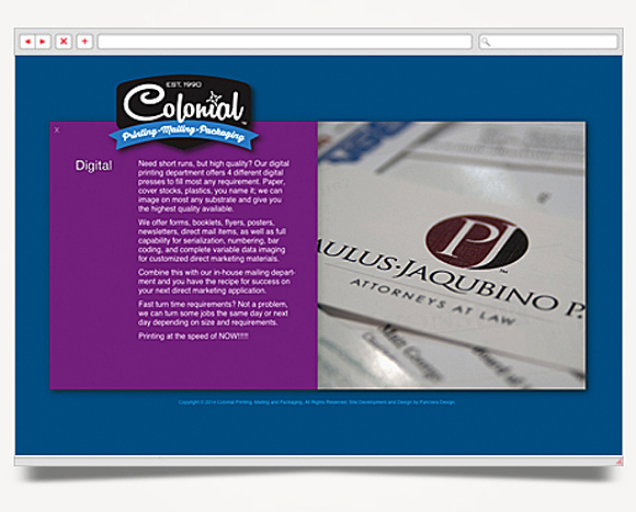 Web - Web Design - Colonial Printing, <br />Mailing And Packaging - Colonial  Printing, Mailing And Packaging - Website 4