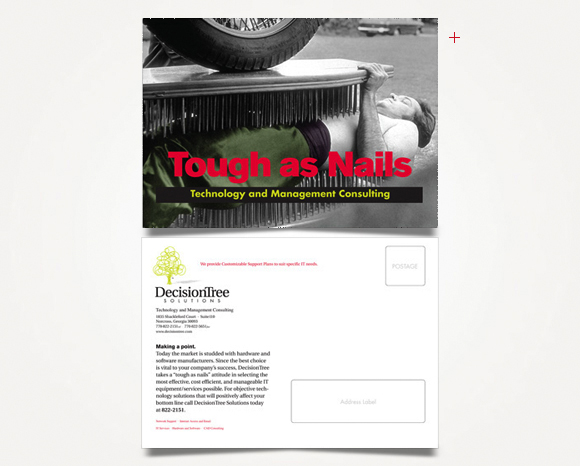 Print - DecisionTree Solutions, Inc. - Direct Mail Campaign